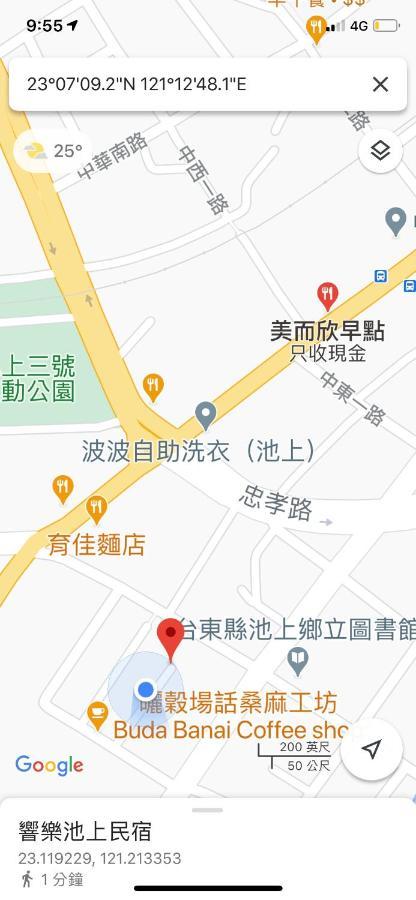 響樂池上電梯民宿1663 Chishang Music Guesthouse Zewnętrze zdjęcie